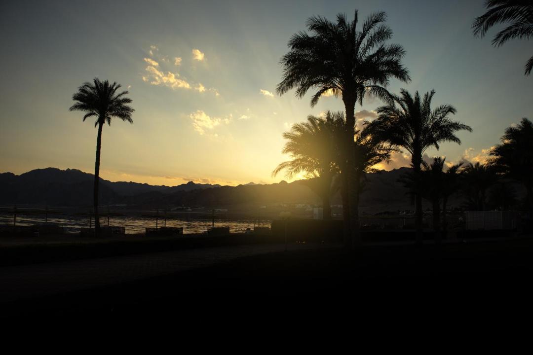 Photo of Others in Dahab