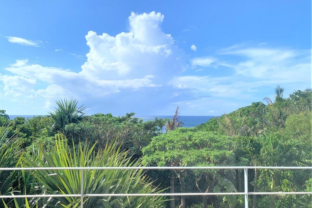 Photo of Others in Ishigaki