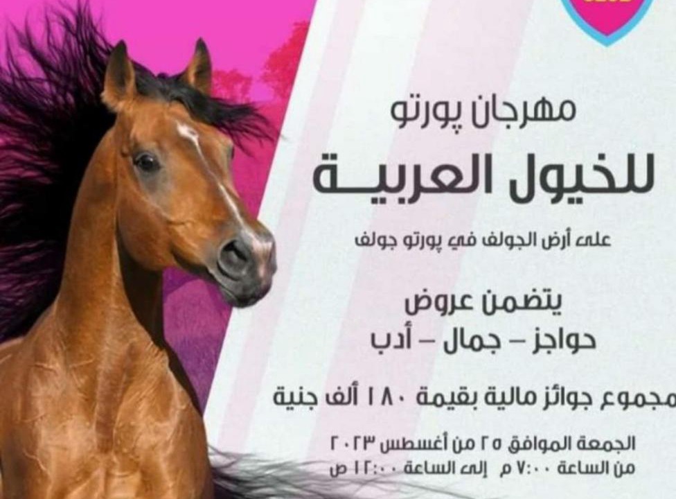 Photo of Others in Marina El Alamein
