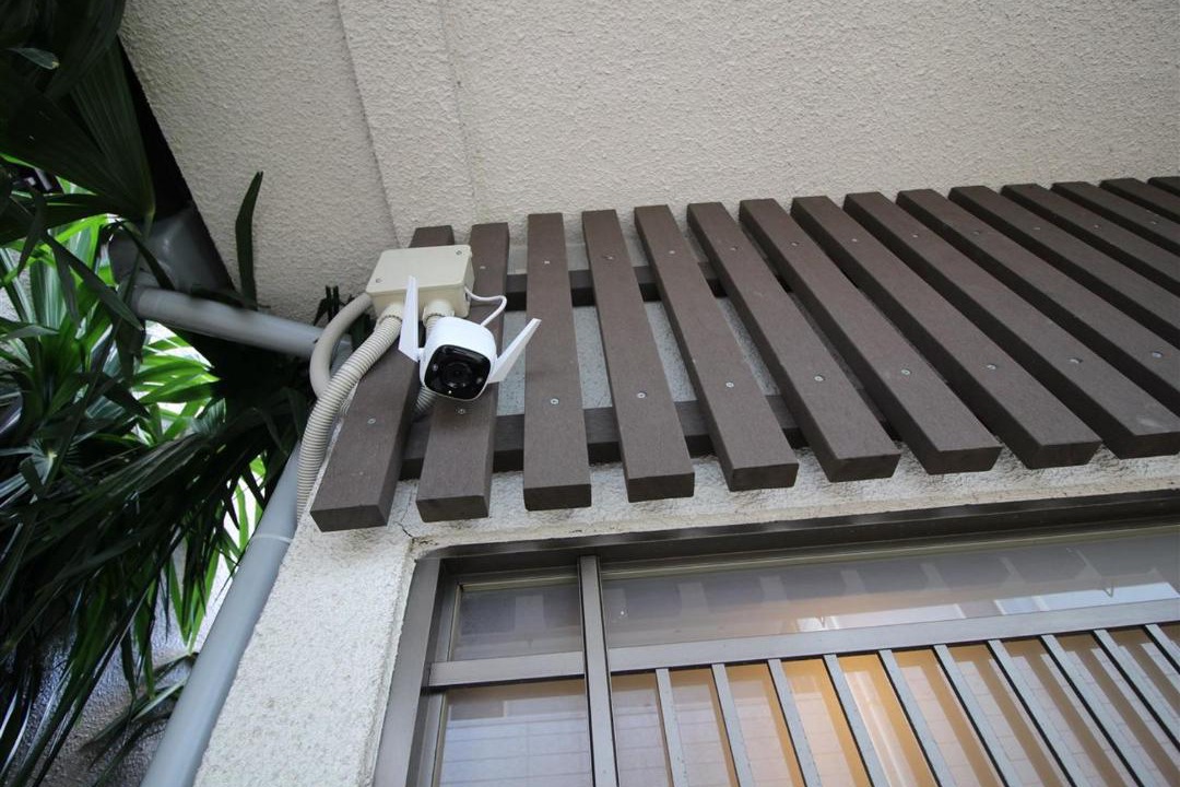 Photo of Others in Shibamata
