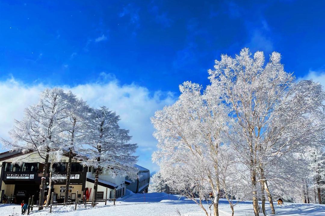 Photo of Others in Nozawaonsen