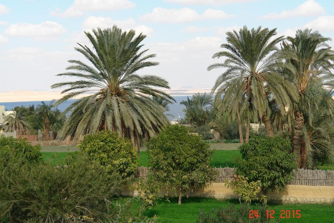 Photo of Others in Tunis Village