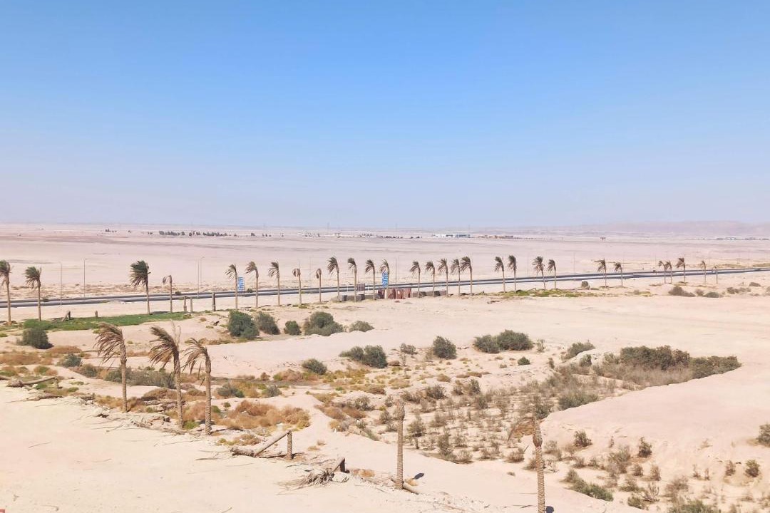 Photo of Others in Al Ahyaa