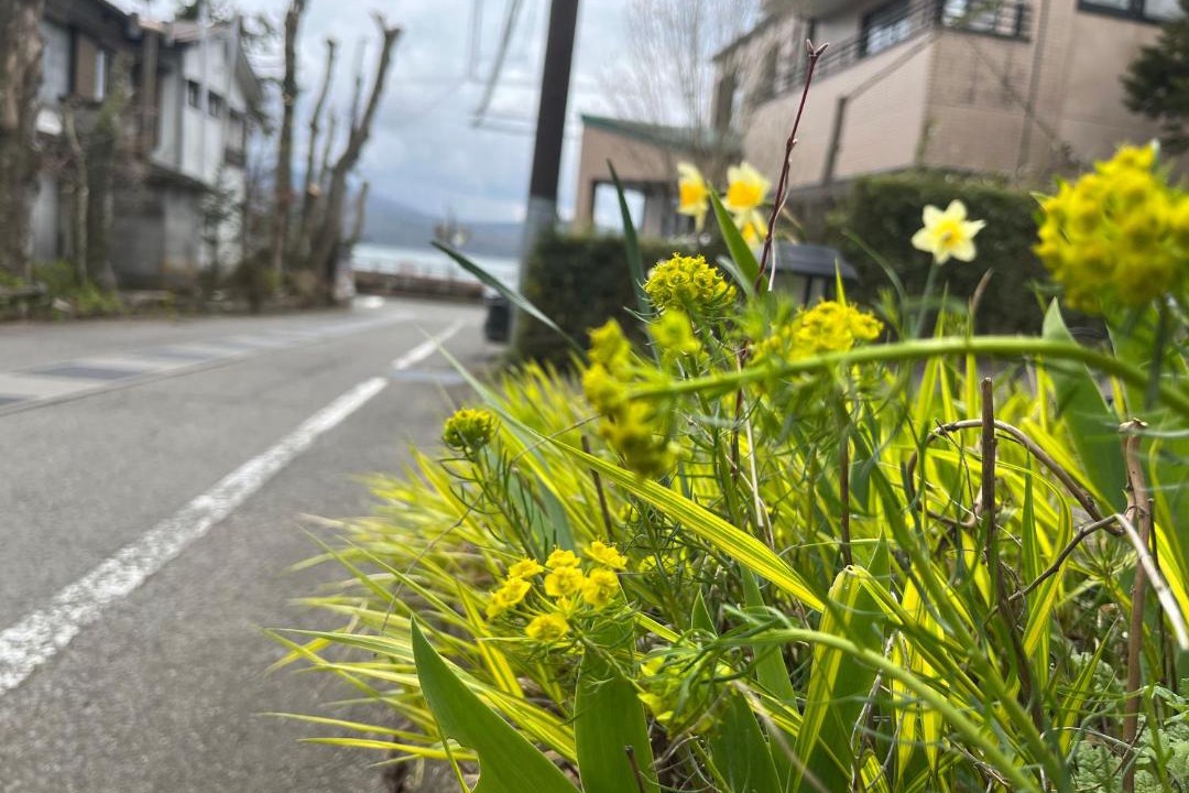 Photo of Others in Yamanakako