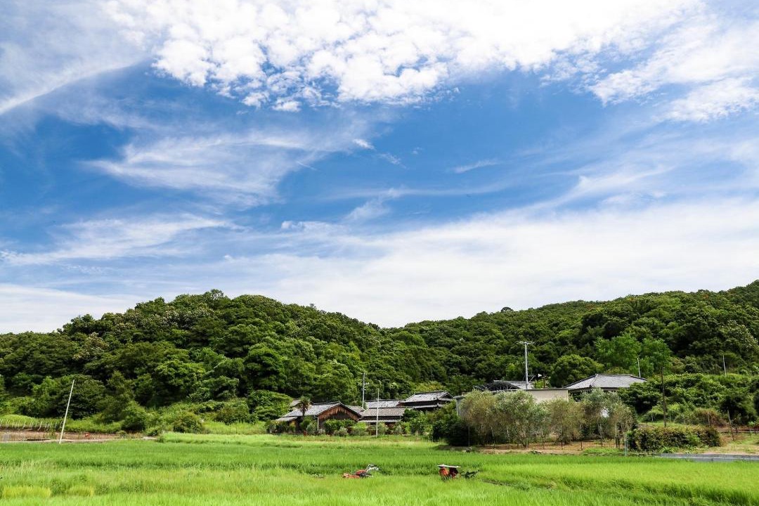Photo of Others in Shodoshima