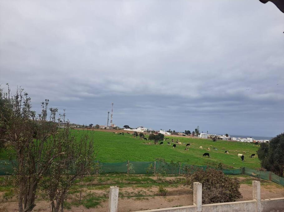 Photo of Others in Mejia