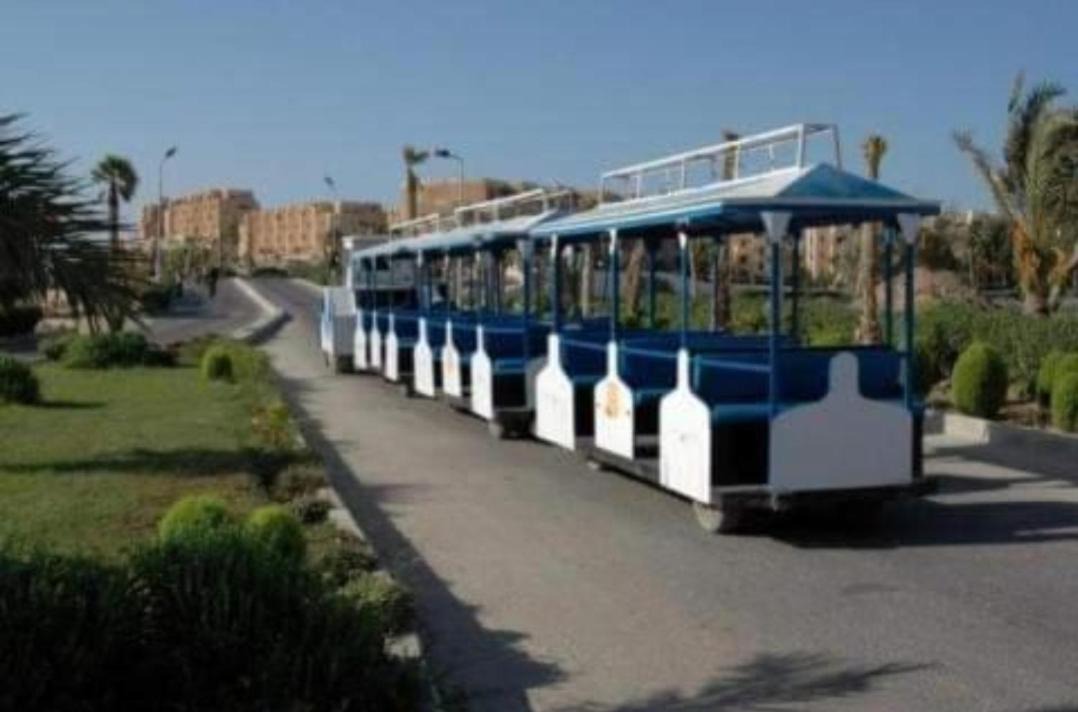 Photo of Others in Marsa Matruh