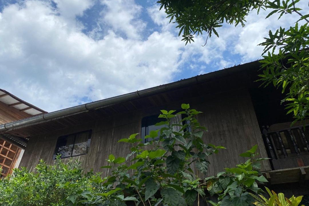 Photo of Others in Tingo Maria