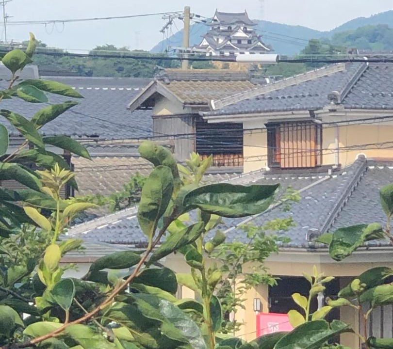 Photo of Others in Hikone