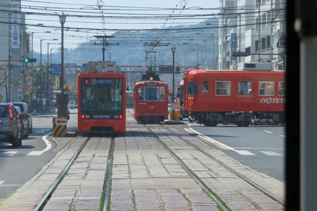 Photo of Others in Matsuyama