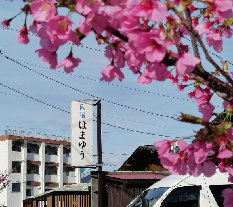 Photo of Others in Katase Onsen