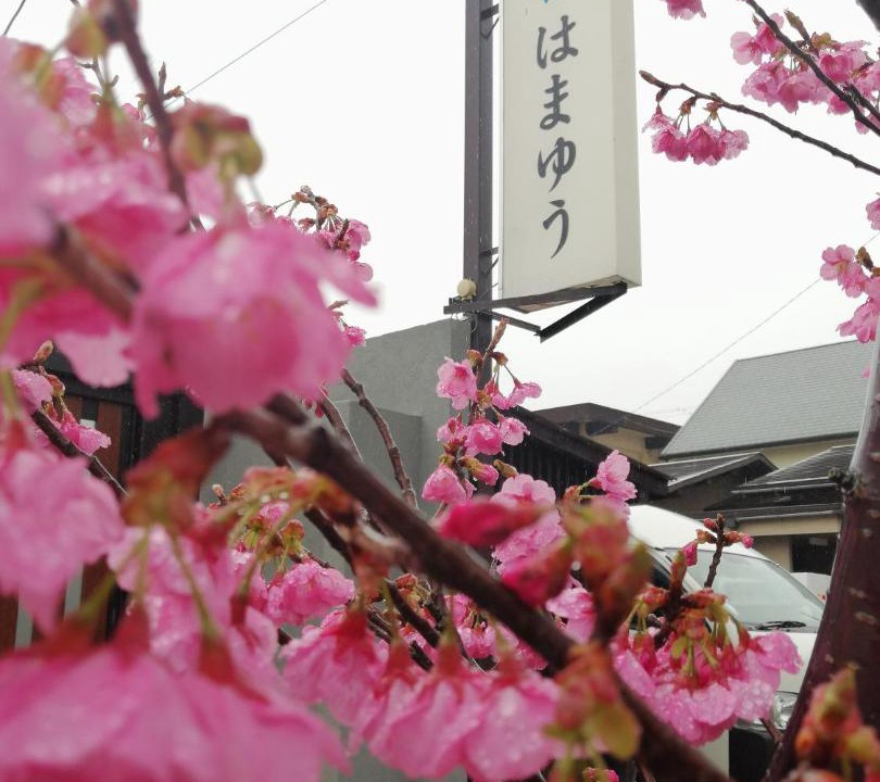 Photo of Others in Katase Onsen