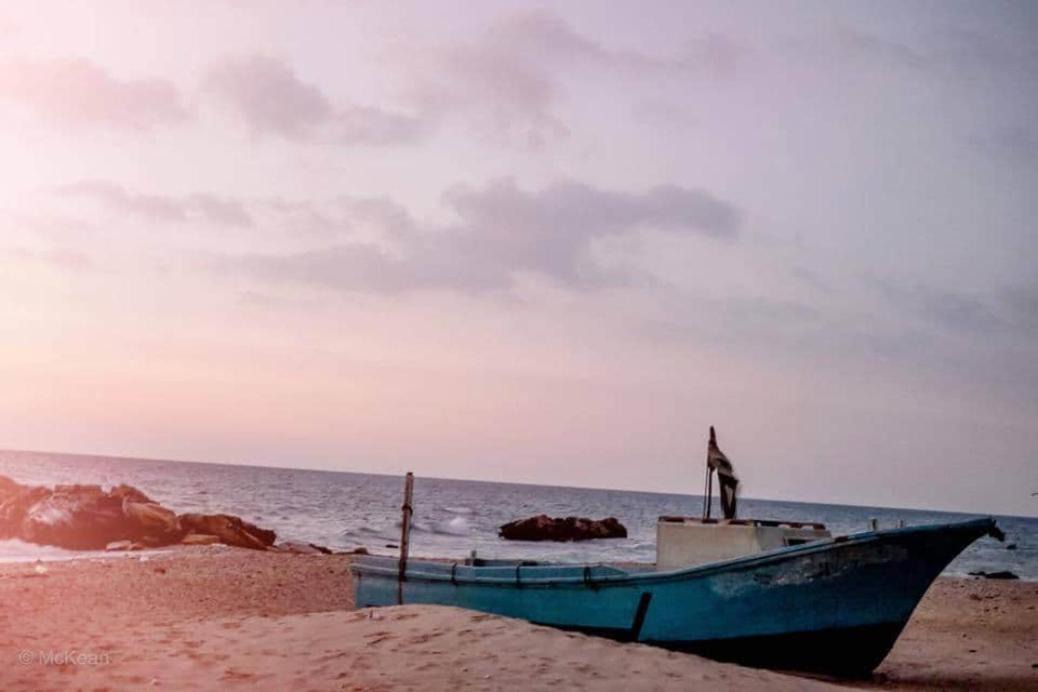 Photo of Others in Zafarana