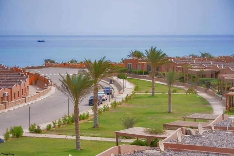 Photo of Others in Zafarana