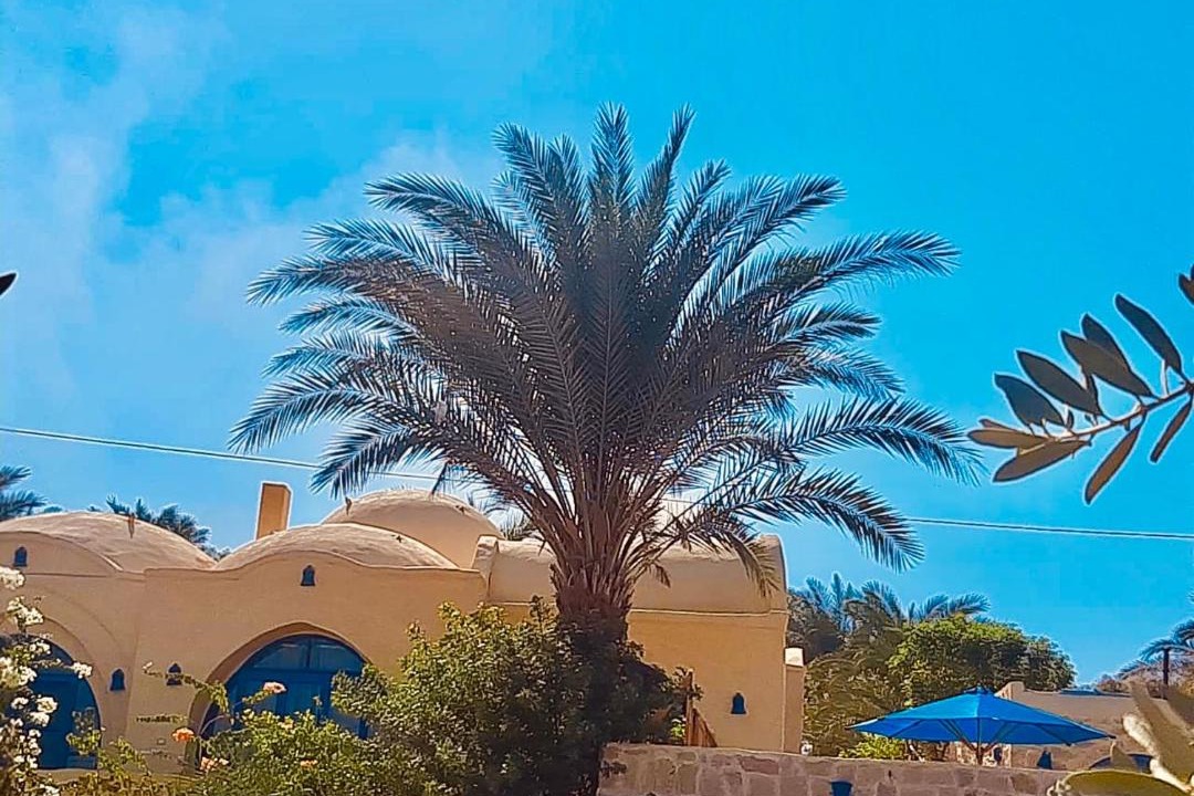 Photo of Others in Tunis Village