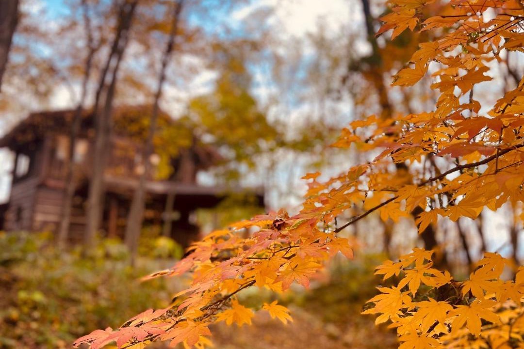 Photo of Others in Furano