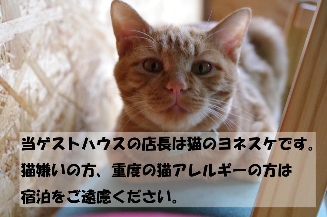 Photo of Others in Asahikawa