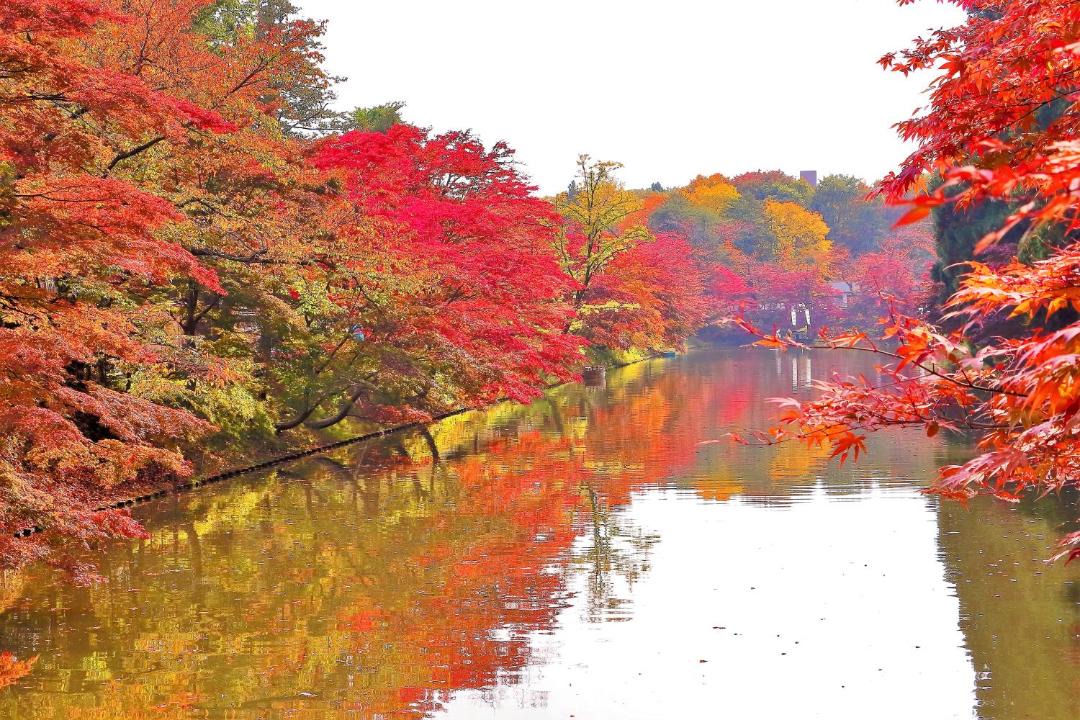Photo of Others in Aomori