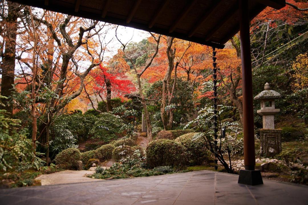 Photo of Others in Atami