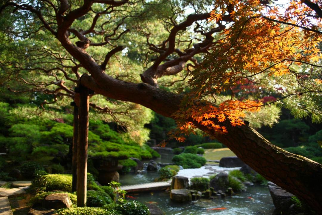Photo of Others in Yudaonsen