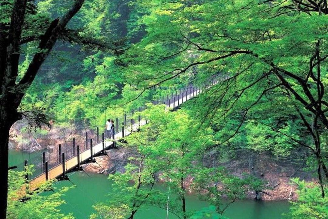 Photo of Others in Shiobara-machi