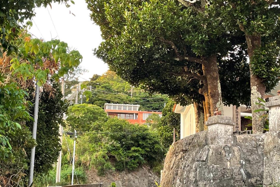 Photo of Others in Chinen-son