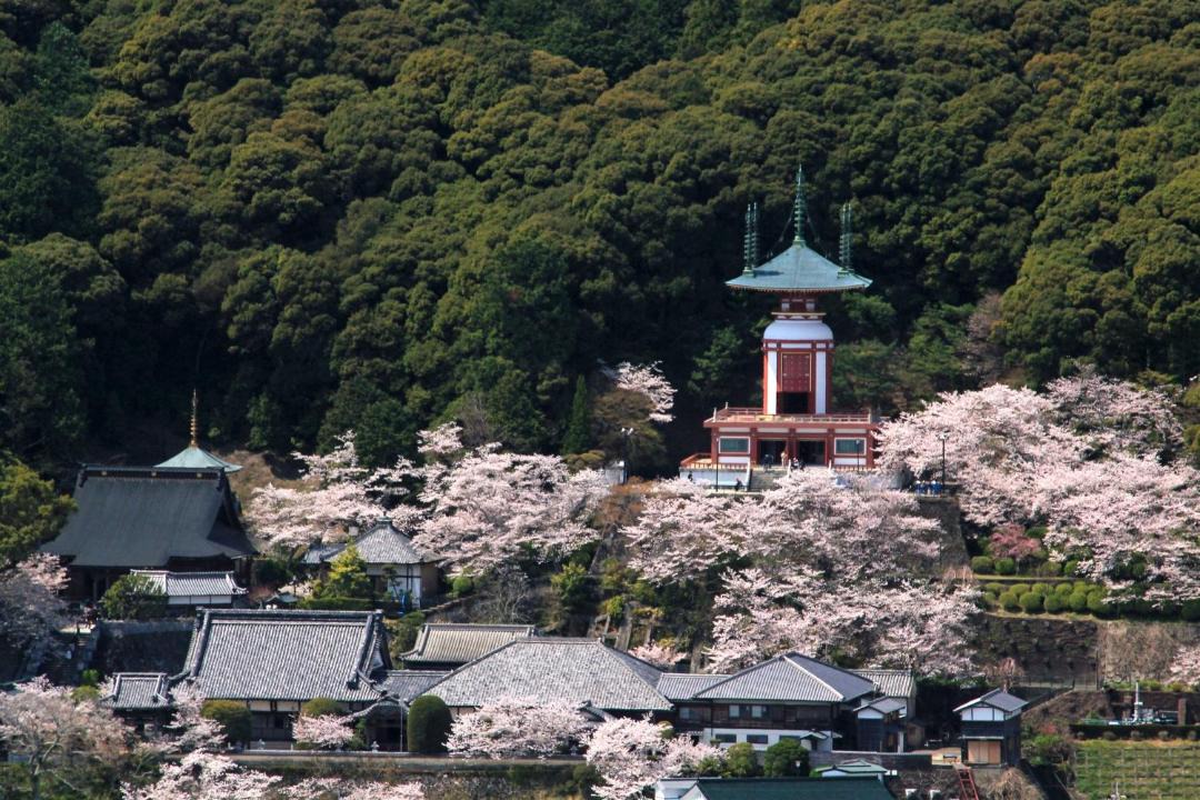 Photo of Others in Kaiyo-cho