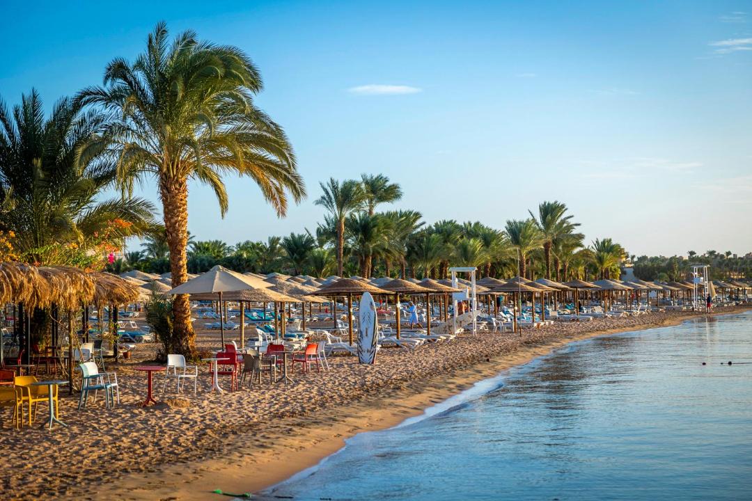 Photo of Others in Makadi Bay