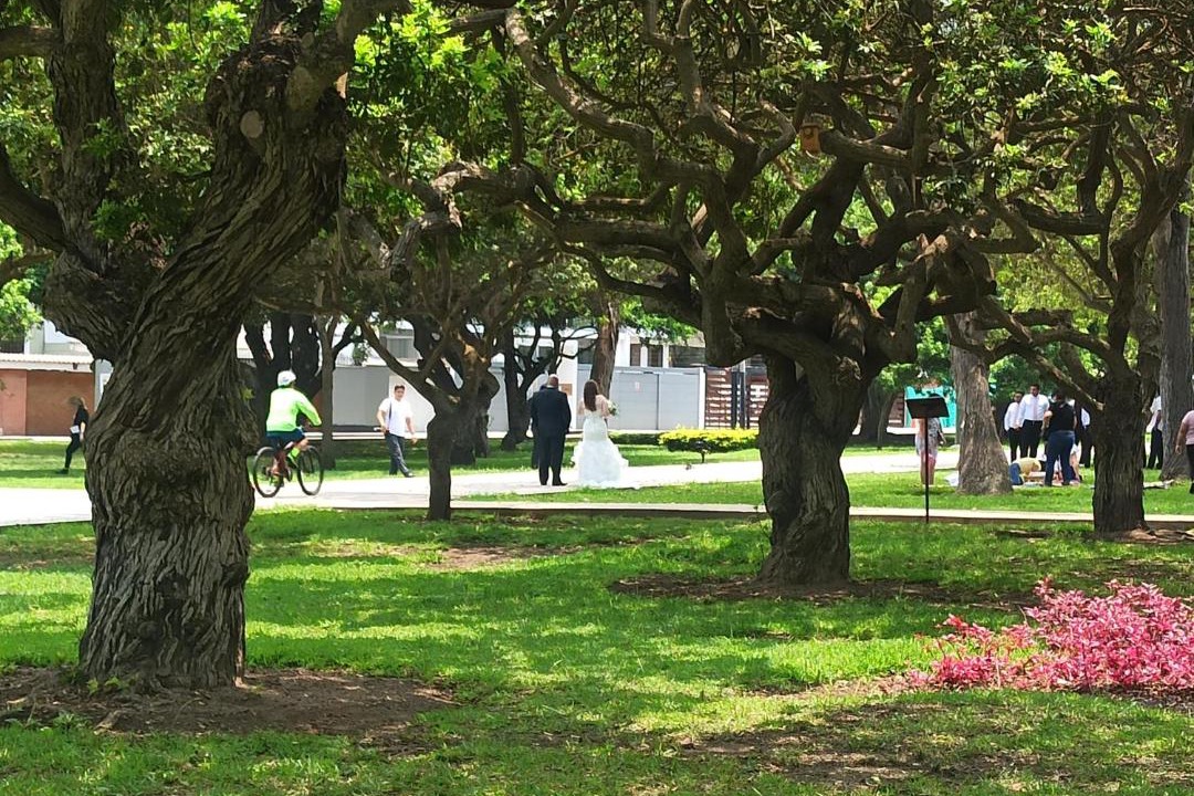 Photo of Others in San Isidro