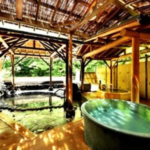 Photo of Others in Hakone Hot Springs