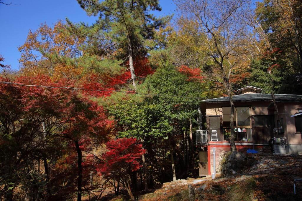 Photo of Others in Nara