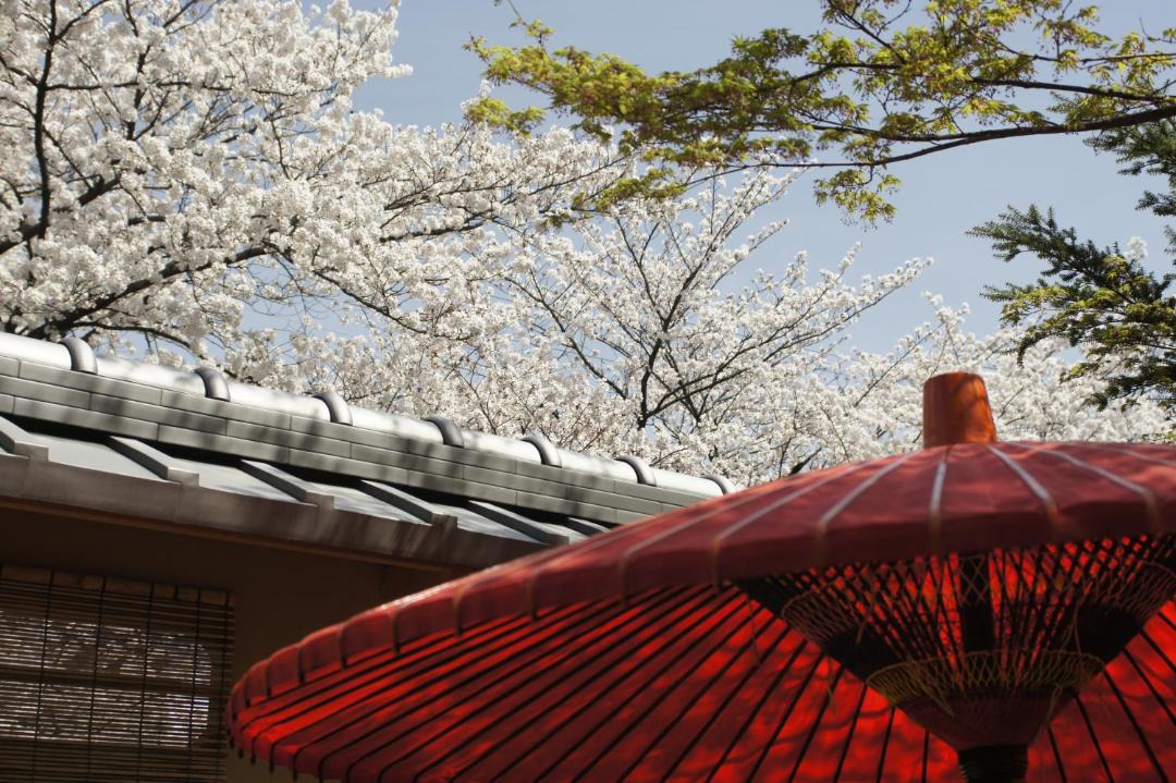 Photo of Others in Gion