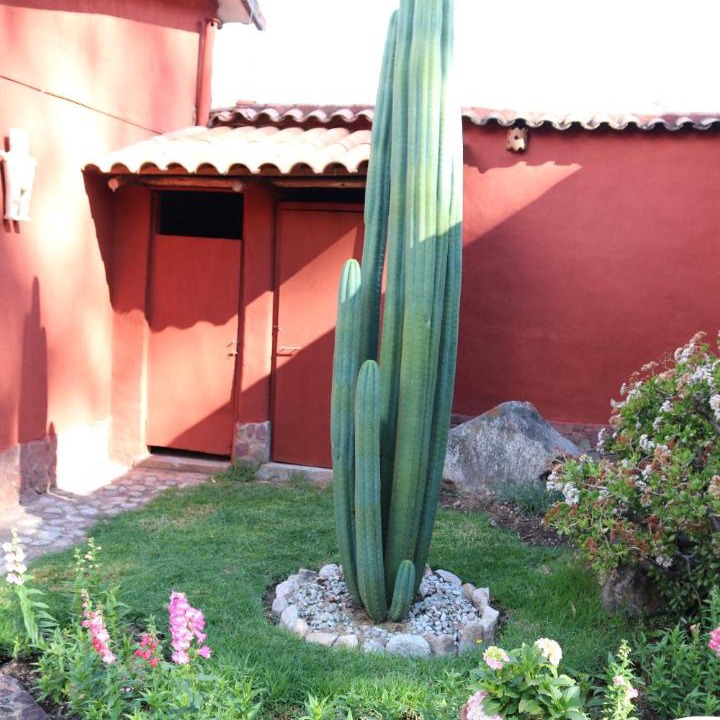 Photo of Others in Urubamba