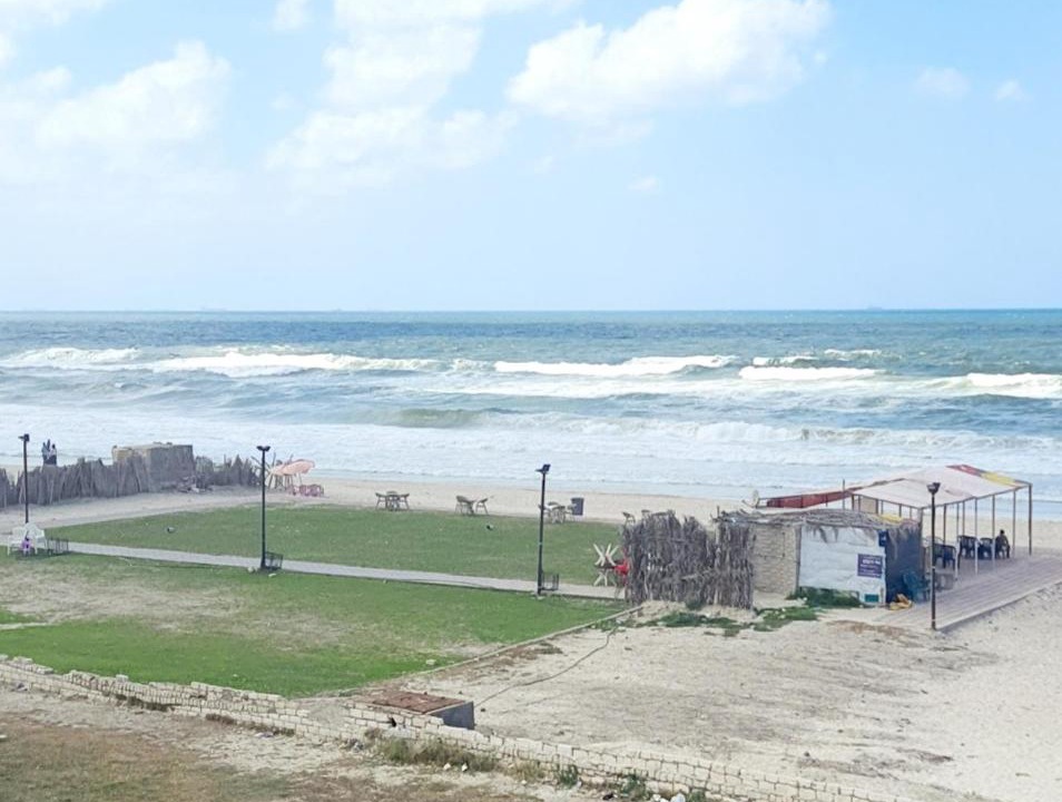 Photo of Others in Alexandria