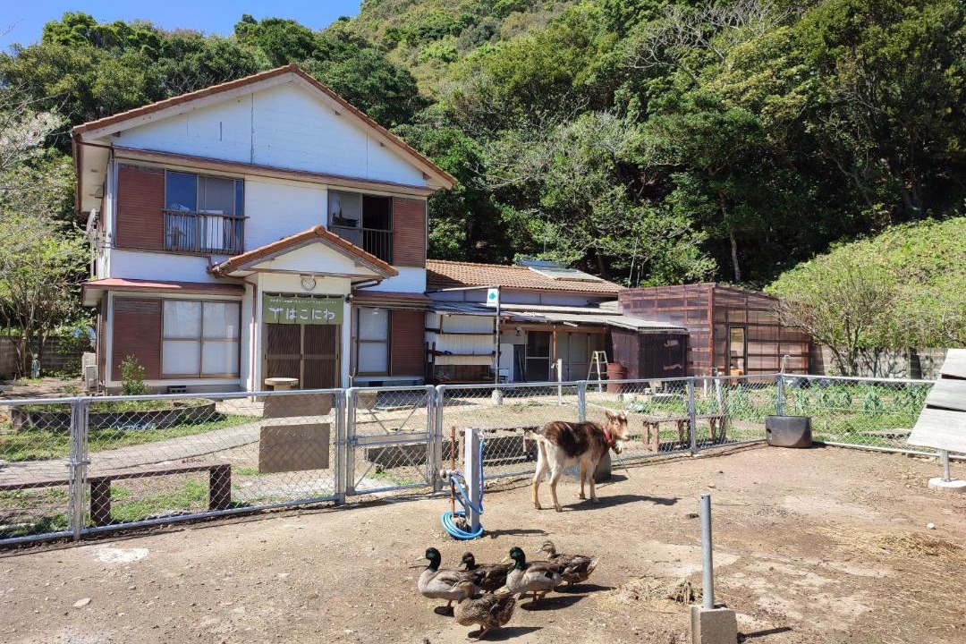 Photo of Others in Kushimoto