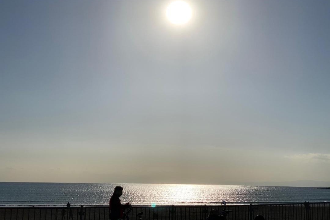 Photo of Others in Kamakura