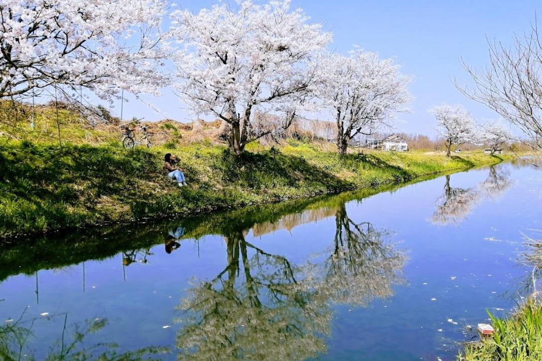 Photo of Others in Shiga Prefecture