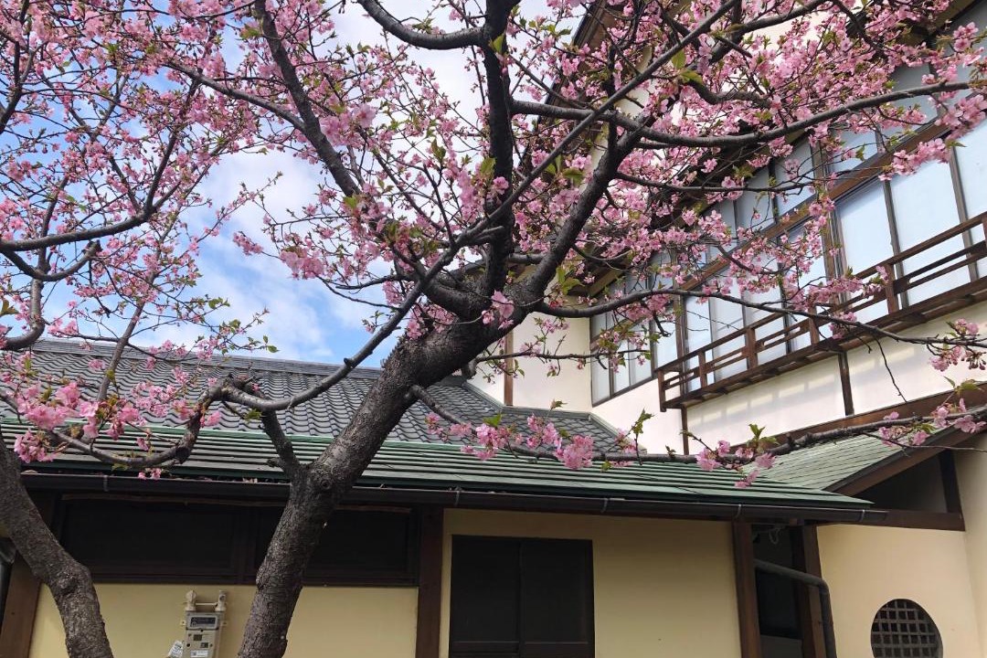 Photo of Others in Isawa Onsen