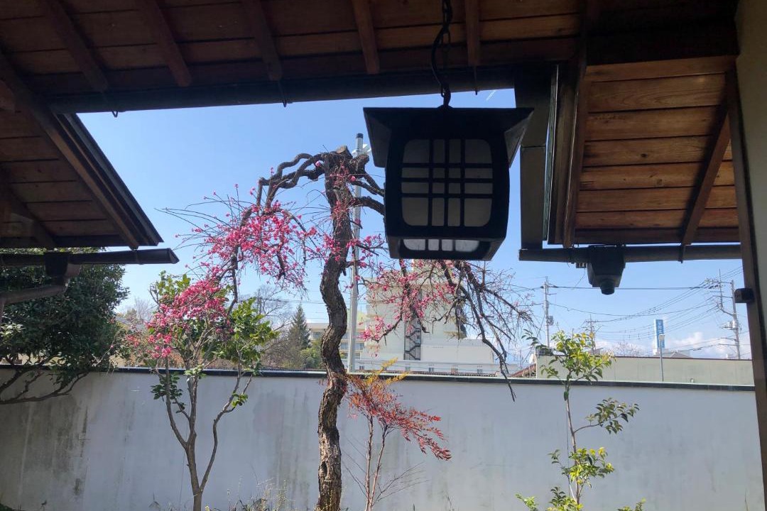 Photo of Others in Isawa Onsen