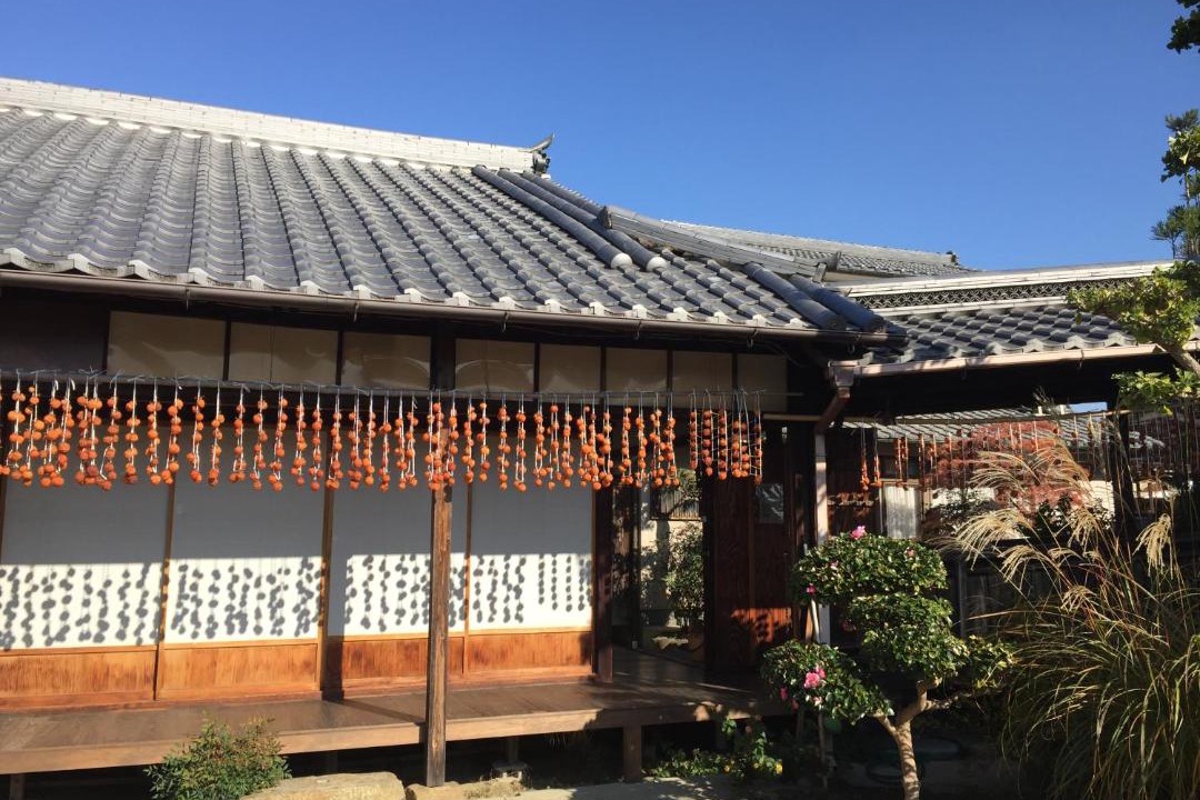 Photo of Others in Nara