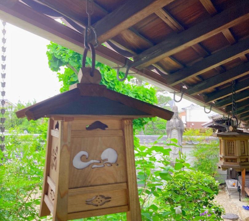 Photo of Others in Nara