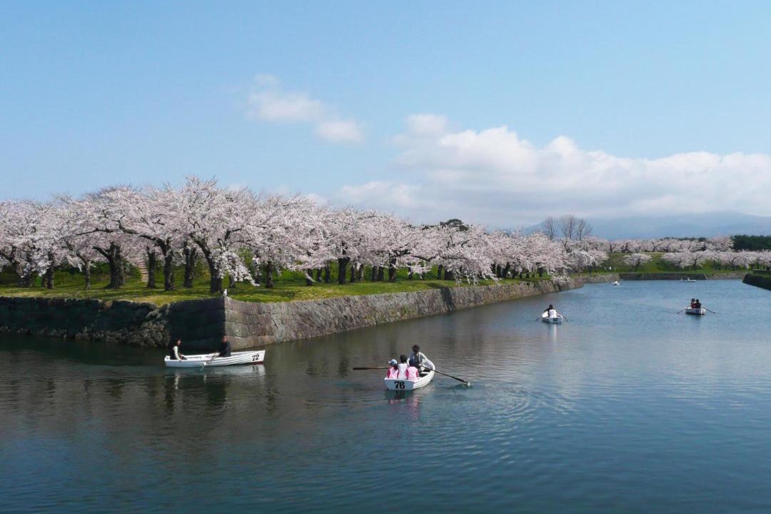 Photo of Others in Hakodate