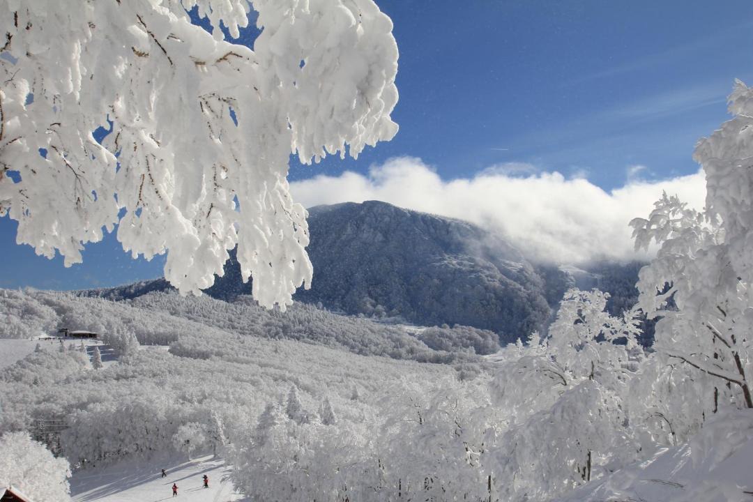 Photo of Others in Yamagata