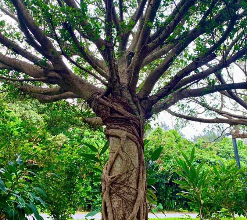 Photo of Others in Kadena-cho