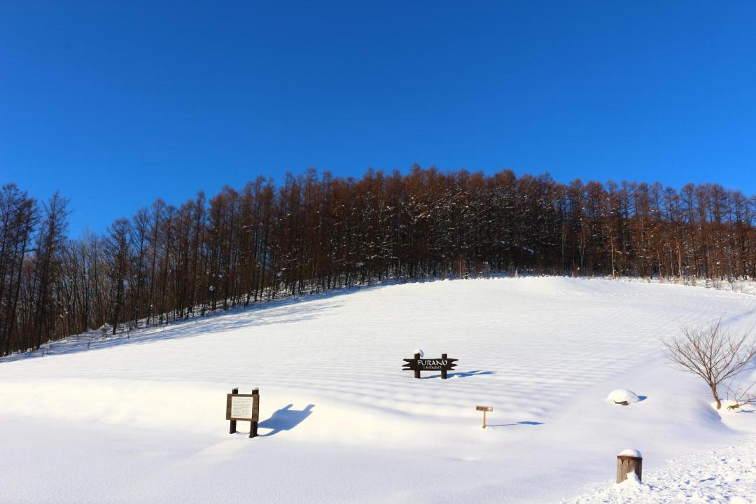 Photo of Others in Nakafurano