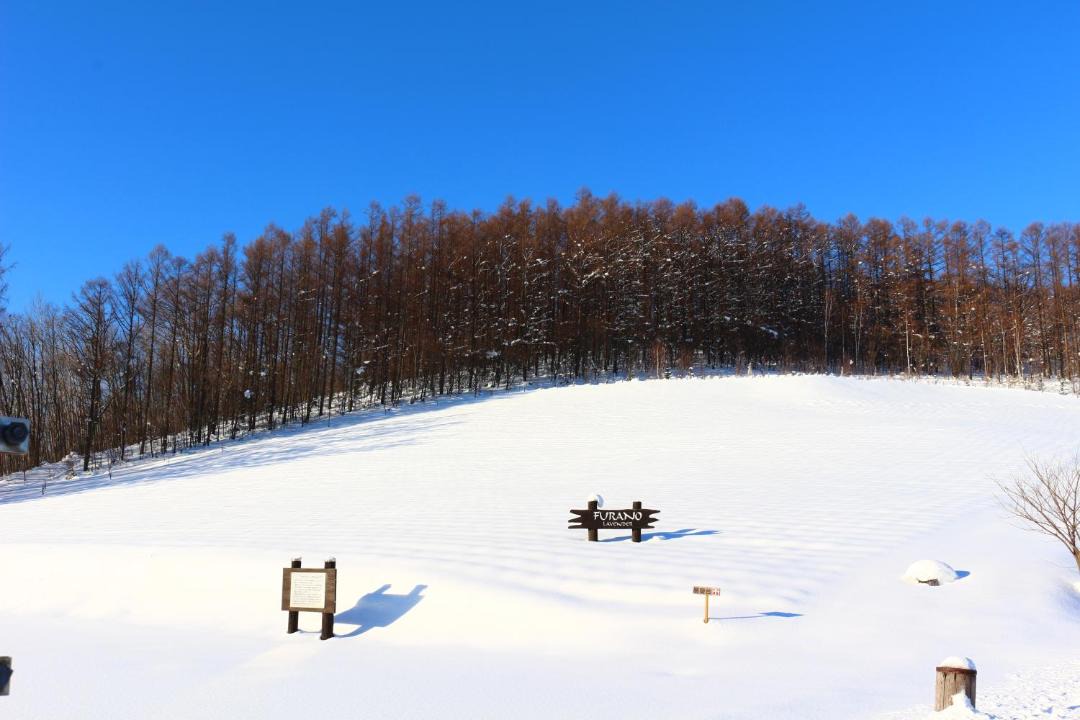 Photo of Others in Nakafurano