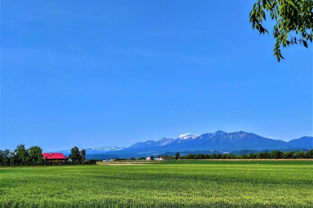 Photo of Others in Nakafurano