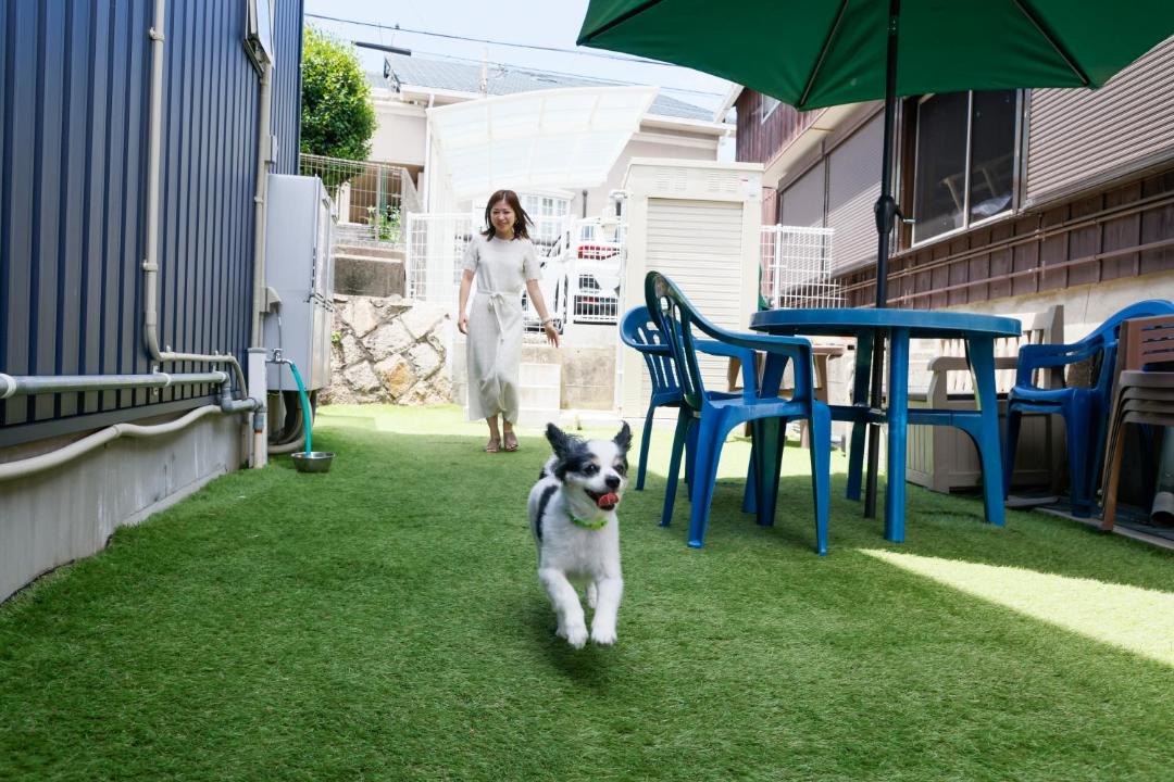 Photo of Others in Awaji