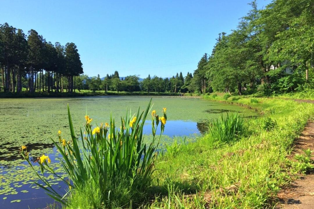 Photo of Others in Minamiuonuma