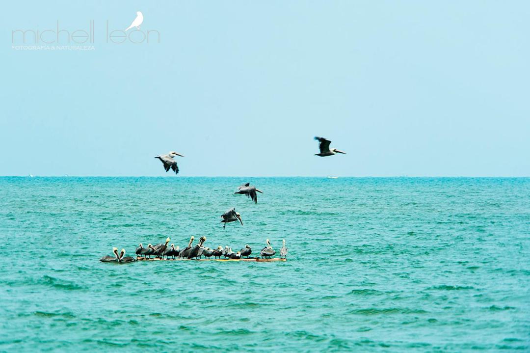 Photo of Others in Caleta Cruz